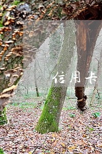 信用卡逾期 买社保 上门 信用卡逾期 买社保 上门